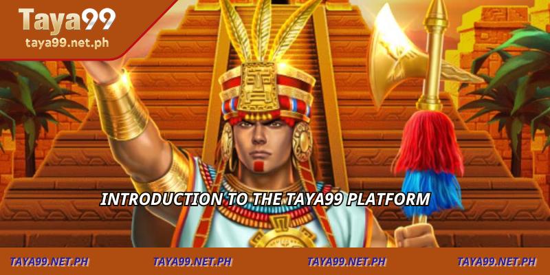 Introduction to the TAYA99 Platform
